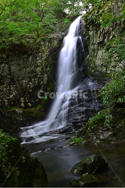 water,물,강,nature,자연,outdoors,옥외,waterfall,폭포,담양,용연계곡,계곡,stream,흐름,물흐름,여름,계절,피서지
