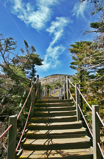 나무계단,탐방로,등산로,한라산,제주도,한라산국립공원,성판악코스,등산,푸른하늘