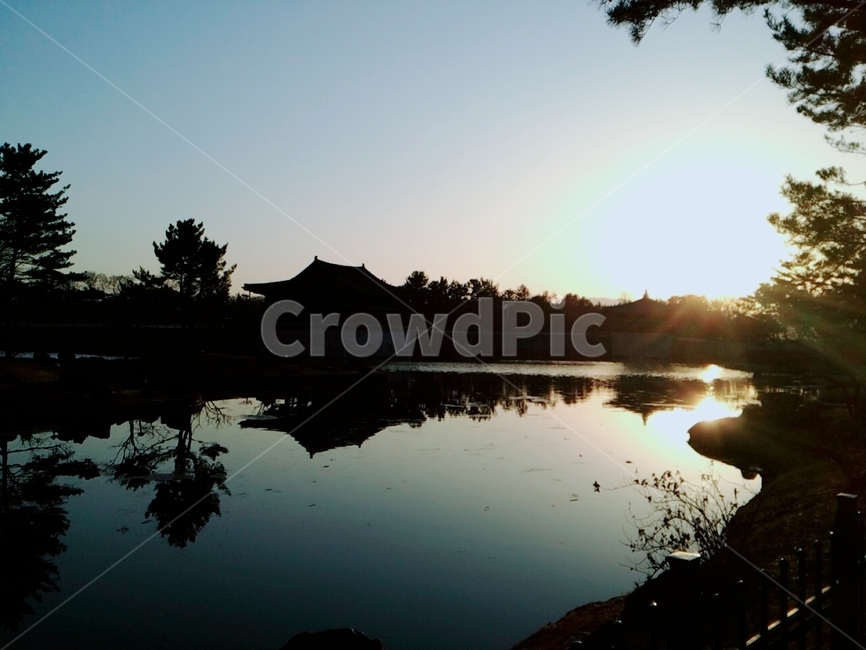 nature,자연,물,light,햇빛,sunlight