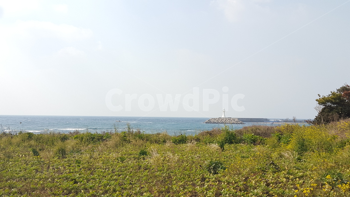 land,땅,outdoors,옥외,nature,자연,해안선,shoreline,자연,풍경,nature,landscape,ocean,대양,sea,바다,water,물