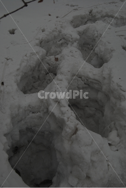 등산,계방산,힐링,자연,겨울,겨울산행,감성,풍경,계절,겨울이미지,겨울,계절,winter,season