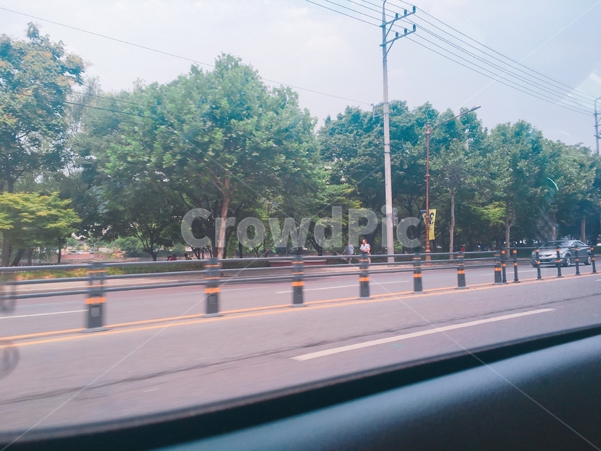 풍경,여름,나무,바람,산책