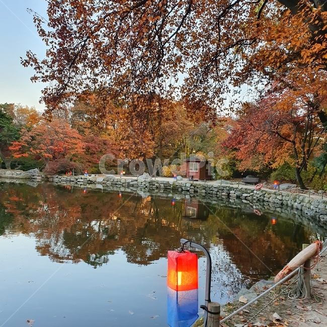 가을,단풍,창경궁,춘당지,산책,힐링,하늘,등불,nature,가을,계절,fall,autumn,season