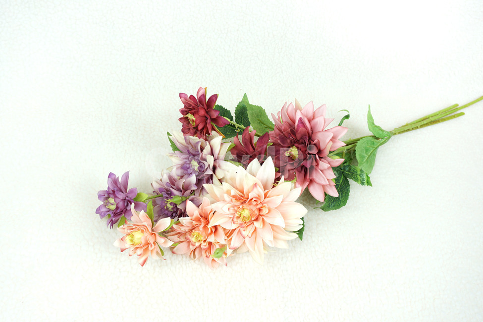 plant,조화,artificialflower,다알리아,꽃