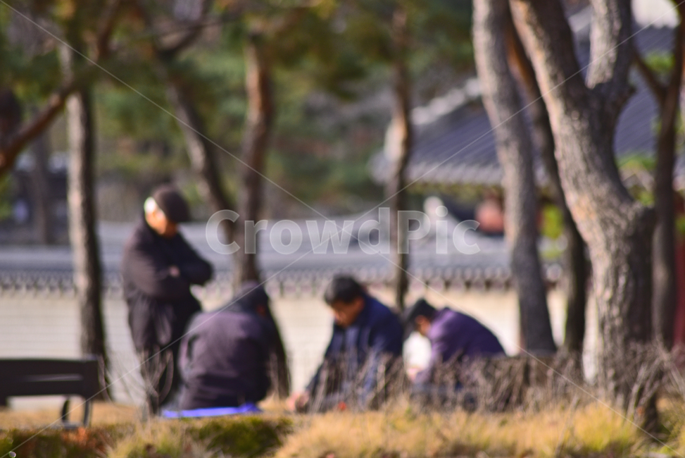 노인,노인네,외로움,고독,쓸쓸함,소외,사람들,장년,노년,silver,노인문제,고령화사회,공원,파크,야외,옥외,outdoor,초고령사회,배경,바탕,백그라운드,사회문제,실버세대,무료함,사람,인물,인간,human,person,노인,어르신,old man, senior citizen
