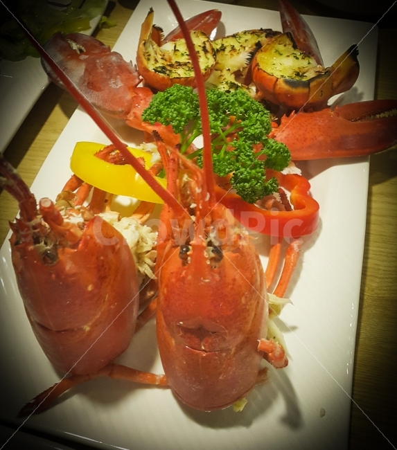 먹음직,바다가재,음식,장식,집게발,치즈구이,음식,식재료,요리,food,cook,meal,dishes,food reserves,수산물,해산물,fishery products,seafood