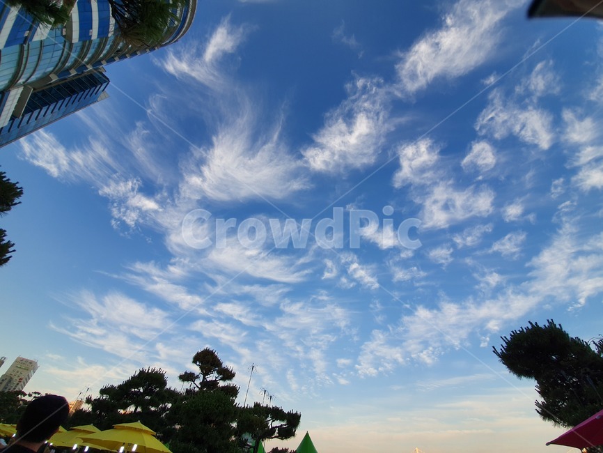 outdoors,옥외,nature,자연,맑은하늘,구름,sky,cloud