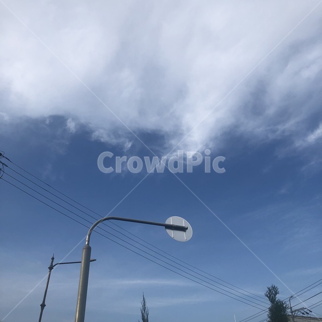 하늘,신호판,구름,거리,풍경,나무,전등,lamppost,램프포스트