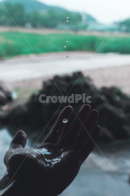 손,비,빗방울,물방울,손바닥,어둠,palm,hand,rain,raindrop,water,waterdrop,dark,사람,인물,인간,human,person,신체일부,몸,body,감성,sensible,feeling