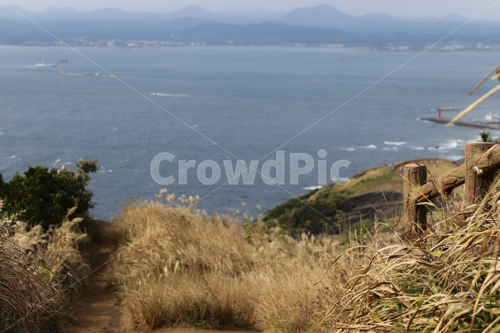 자연,nature,outdoors,갈대,바다,섬,자연,풍경,nature,landscape