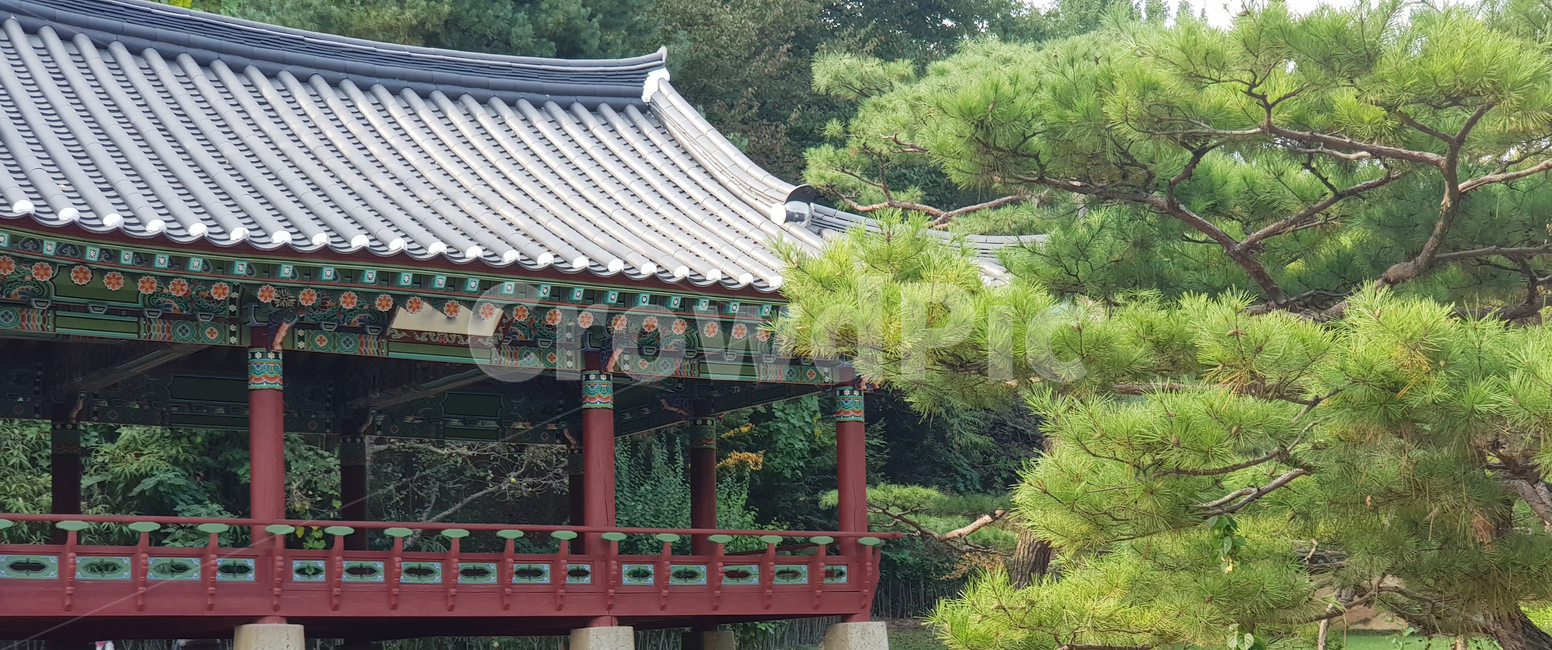 용인민속촌,기와,옛날,고풍스러운,한국,한국적인,문화재,문화,오래된