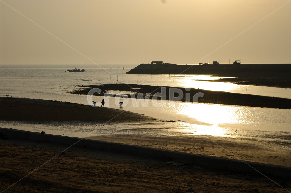 바다,풍경,노을,해변,해안,섬,자연,풍경,nature,landscape,sunlight,햇빛