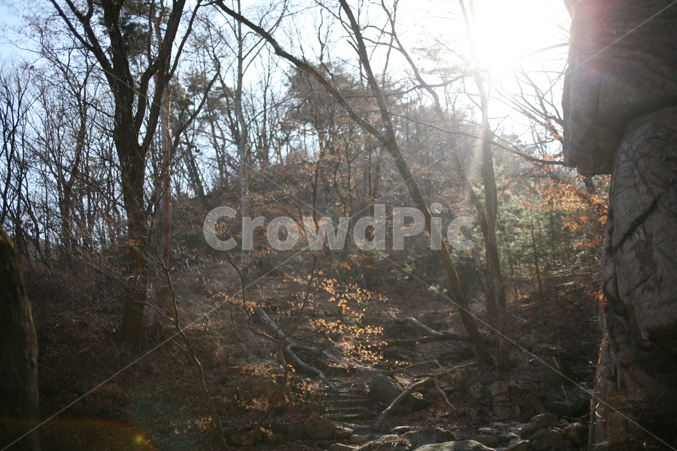 풍경,산,북한산,햇빛,tree,mountain,숲