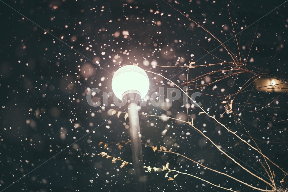 눈,겨울,첫눈,스노우,snow,감성,감성사진,등,가로등,램프,lamp,winter,야경,밤,밤사진,밤눈,nightscape,D750,Naemamfoto,내맘포토,겨울,계절,winter,season,야경,밤,풍경,nightscape,night,landscape,감성,sensible,feeling,lighting,조명,flare,플레어,light,빛