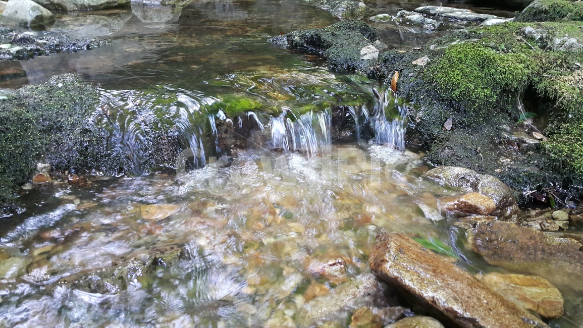 물,여름,계곡,시원한,자연,nature,outdoors,water,옥외,산