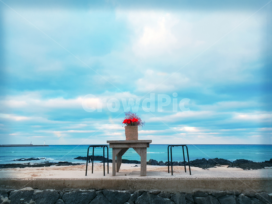 제주도,바다,테이블,풍경,꽃,식물,자연,plants,nature,꽃,flower