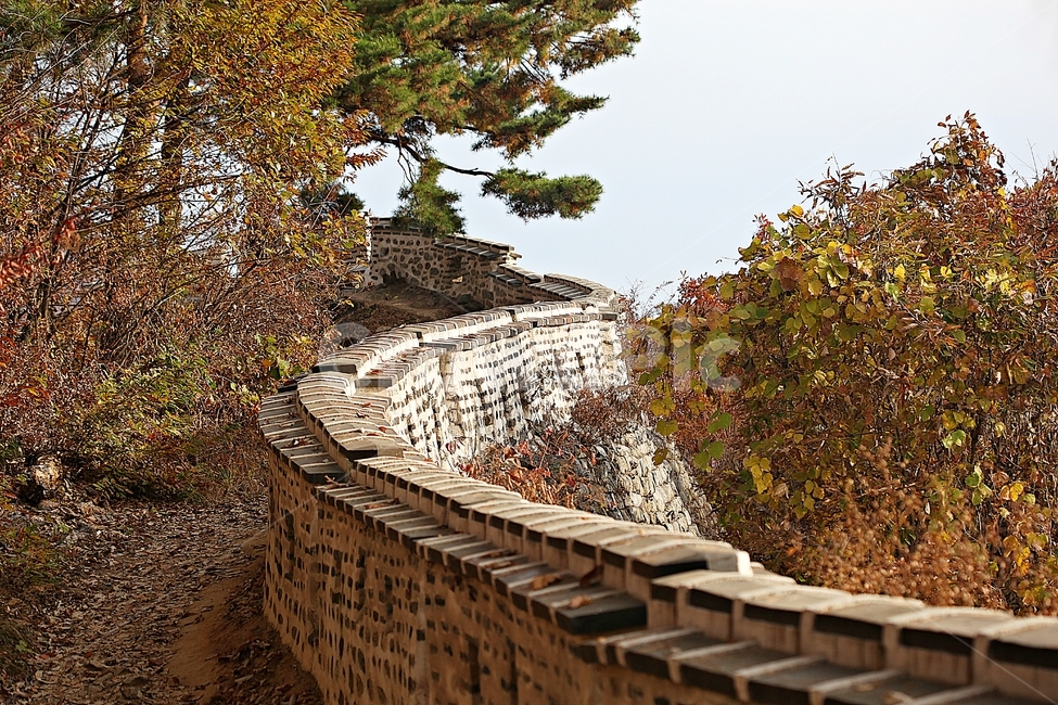남한산성,성,성곽,단풍,낙엽,길,둘레길,숲,숲길,담,돌담,가을,자연,풍경,벽,울긋불긋,산성,식물,가을,계절,fall,autumn,season,한국전통,한국문화,korean traditional,korean culture