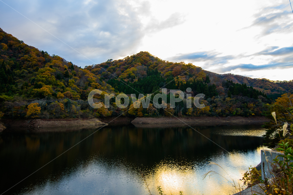 단풍,가을,식물,붉은,자연,풍경,산,일본,이바라키,계절,fall,낙엽,season,호수,반영,갈대,하늘,댐,가을,계절,fall,autumn,season,자연,풍경,nature,landscape,해외,외국,세계,foreign,oversea,world,세계자연풍경,해외자연풍경,외국자연풍경,world nature landscape,water,물,outdoors,옥외
