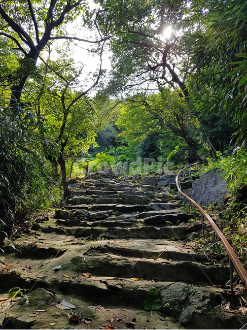계단,돌,자연,경관,풍경,풀,여름,배경,세로