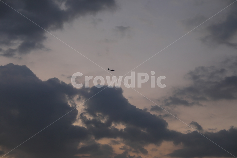 여수,바다,노을,풍경,섬,자연,풍경,nature,landscape,교통,교통수단,traffic,transportation,animal,동물,flying,나는,bird,새