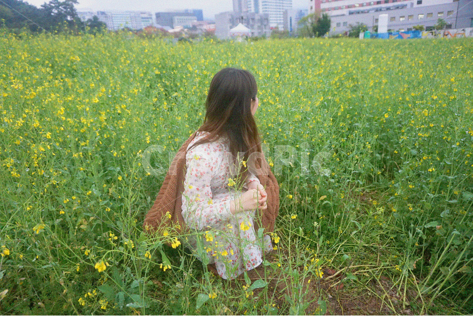 봄,유채꽃,꽃놀이,피크닉,흐린날,비,spring,picnic,rain,여자,감성사진,봄,계절,spring,season,사람,인물,인간,human,person,여성,여자,woman,female,lady,여행,휴가,traveling,vacation,trip,감성,sensible,feeling,field,들,outdoors,옥외,grassland,목초지,nature,자연