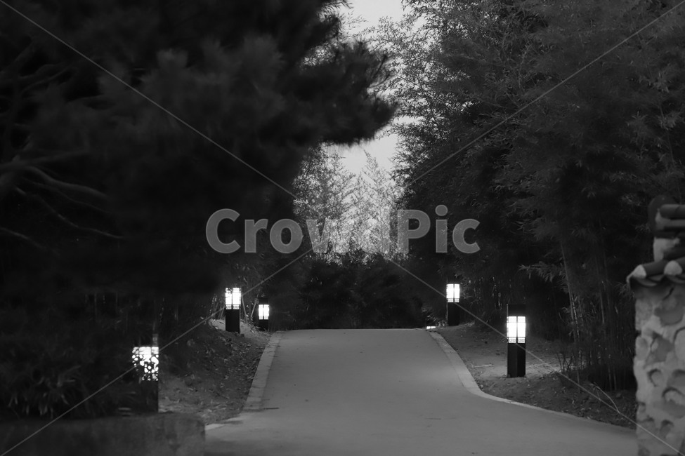 흑백,공원,호수공원,일산,가로등