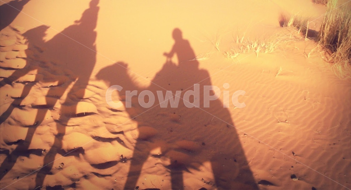 사막,사하라,모로코,여름,낙타,모래,그림자,여행자,desert,sahara,morocco,camel,traveler,tourist,summer,자연,풍경,nature,landscape,해외,외국,세계,foreign,oversea,world,세계자연풍경,해외자연풍경,외국자연풍경,world nature landscape,실루엣,그림자,silhouette,shadow,soil,흙,outdoors,옥외,sand