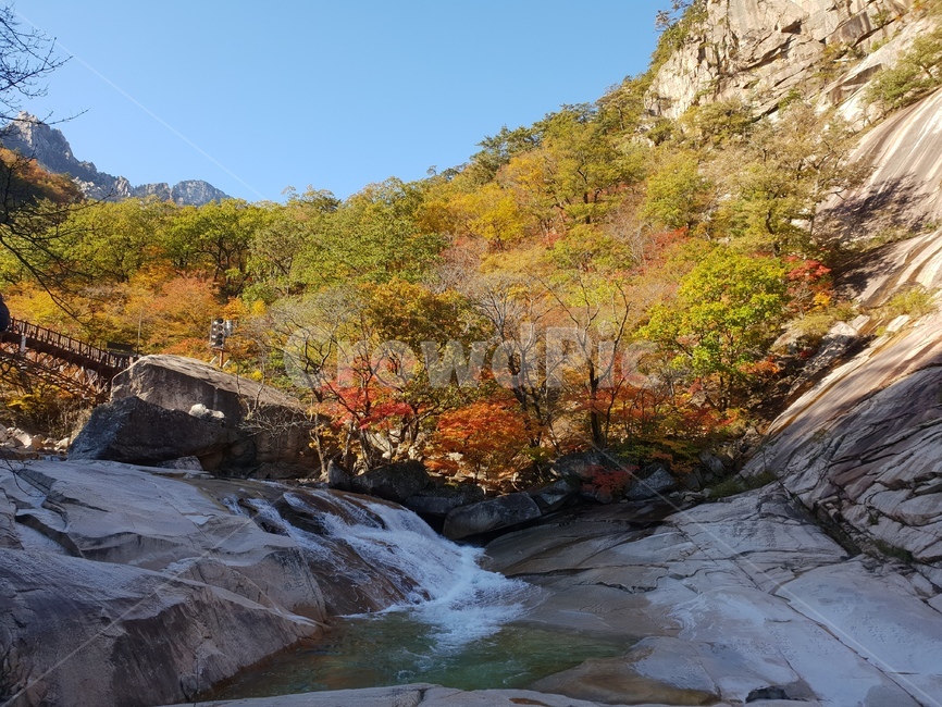 단풍,설악산,계곡,식물,풍경,자연,가을,계절,fall,autumn,season,자연,풍경,nature,landscape