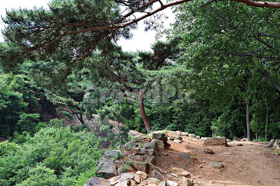 전등사,전등사둘레길,길,돌담,성곽,풍경