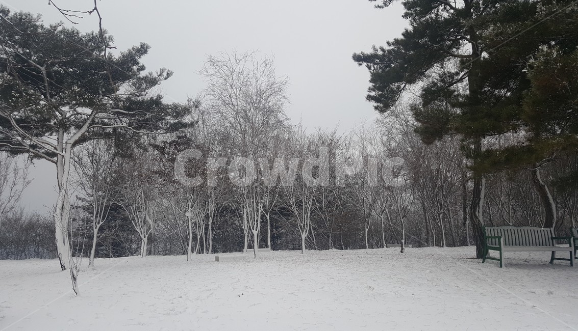 겨울,풍경,나무,눈,winter,tree,snow,landscape
