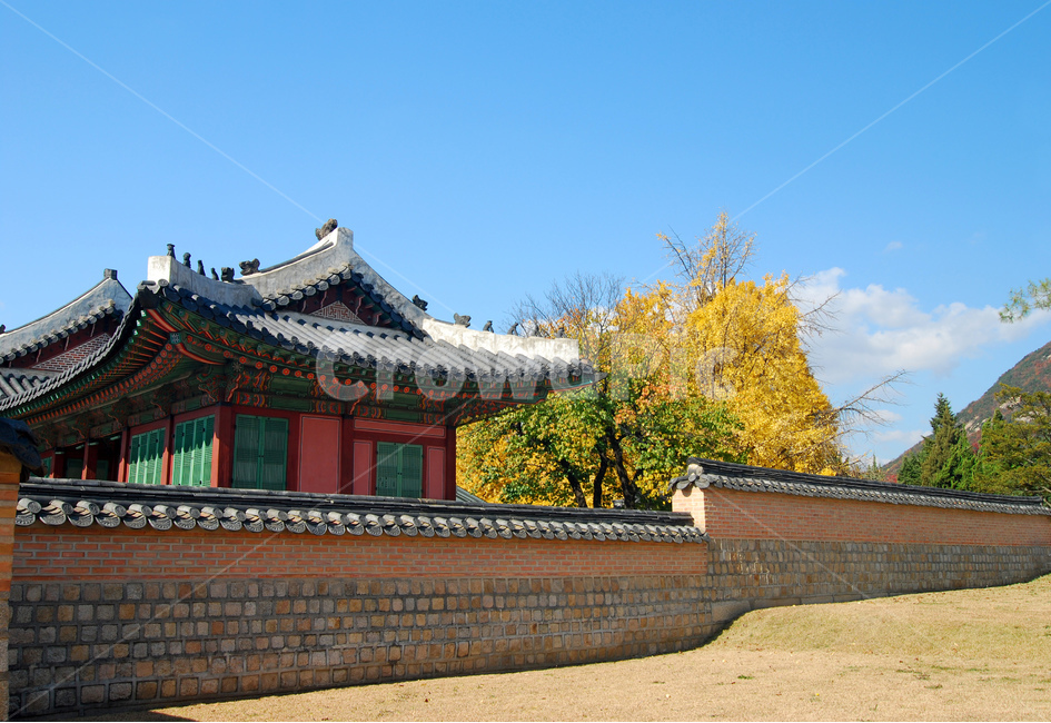 경복궁,고궁,궁,궁궐,전각,담,담장,돌담,전통담,전통담장,한국,전통,한국전통,건물,건축,전통건축,전통건축물,단풍,가을,하늘,기와,한옥,배경,백그라운드,서울