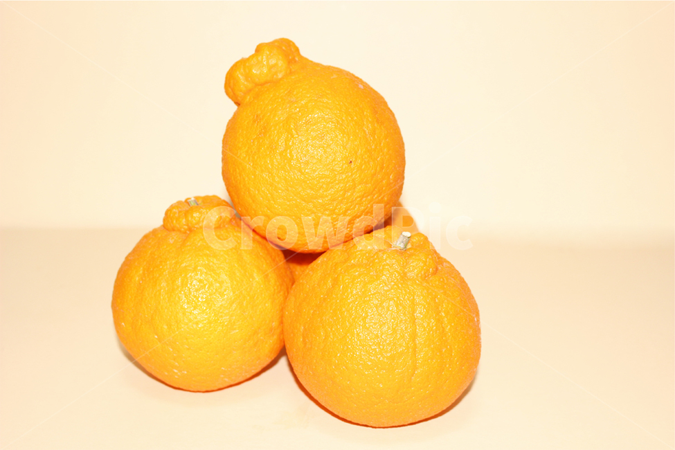 한라봉,오렌지,과일,음식,웰빙,생과일,디저트,다이어트,과일,열매,fruit