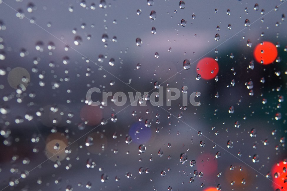 물방울,보케,비,힐링,필름카메라,필름,비,비오는날,rain,rainy