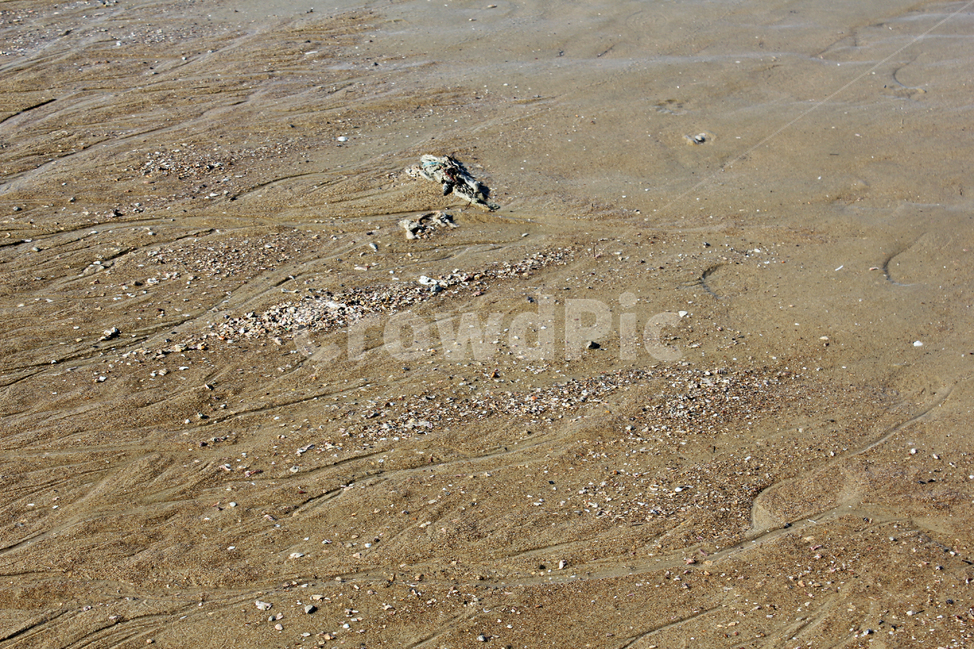 beach,brown,detail,earth,ground,mud,mudflat,nature,sand,soil,waterstreak,바닷가,해안가,갈색,브라운,땅,흙,모래,모래사장,해변,자연,진흙,갯벌,모래밭,자연,풍경,nature,landscape,해변,바다,beach,sea,바닥