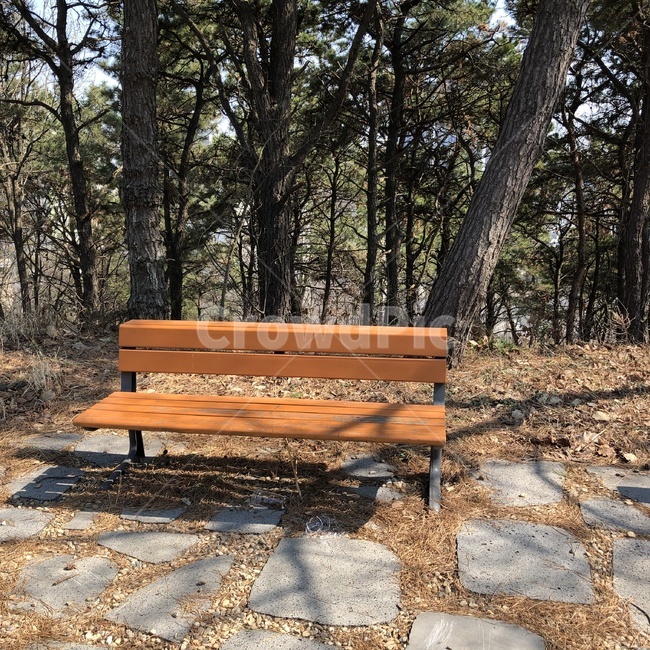 벤치,판석,flagstone,bench,공원,park,wood