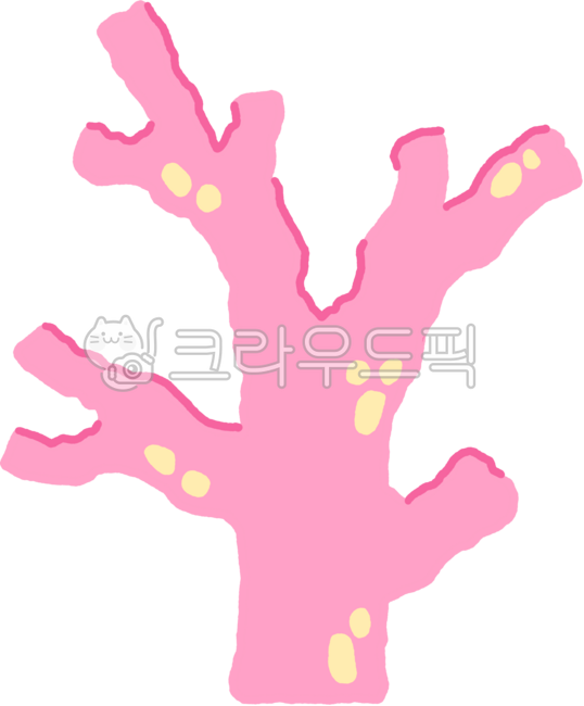 물풀,산호,산호초,바다식물,바다,해변,해양,해양식물