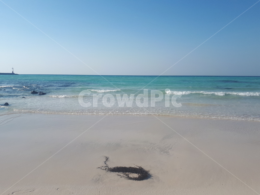 바다,파도,모래,바닷가,해초,제주도,자연,풍경,nature,landscape,해변,바다,beach,sea,outdoors,옥외,ocean,대양,water,물,shoreline,해안선