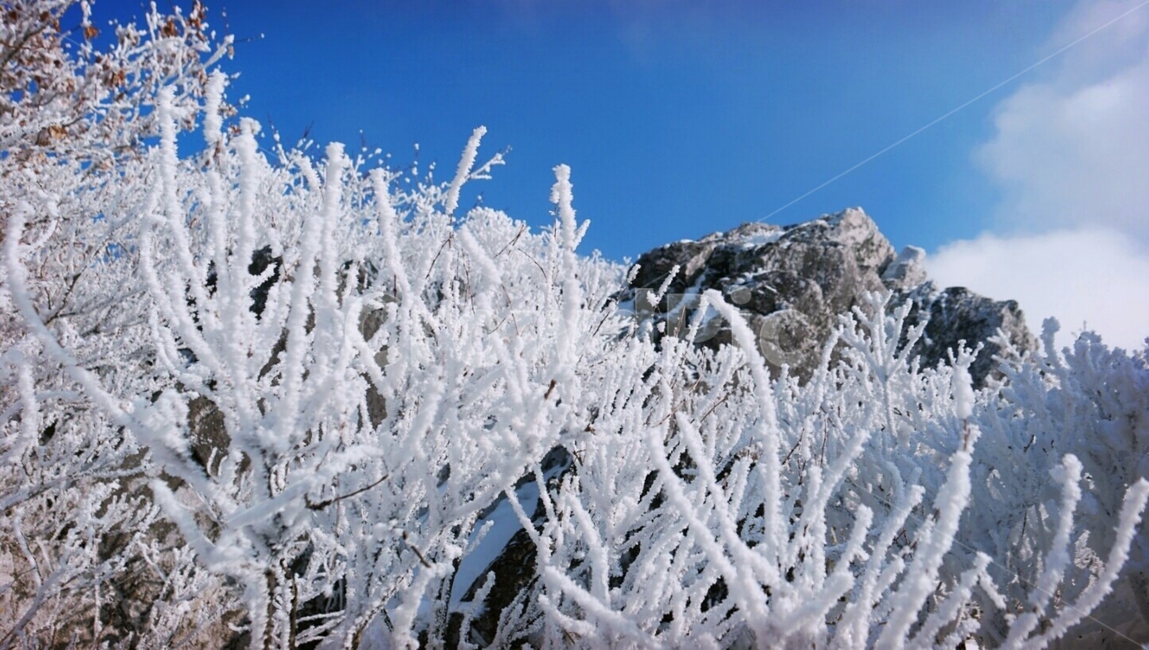 산,나무,겨울,하늘,눈,겨울,계절,winter,season,식물,자연,plants,nature,나무,trees,wood