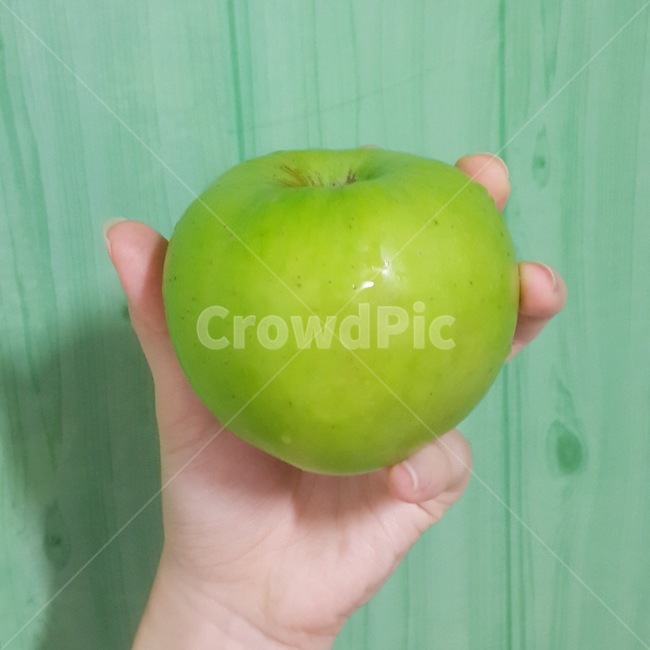 사과,청사과,아오리사과,햇사과,과일,초록