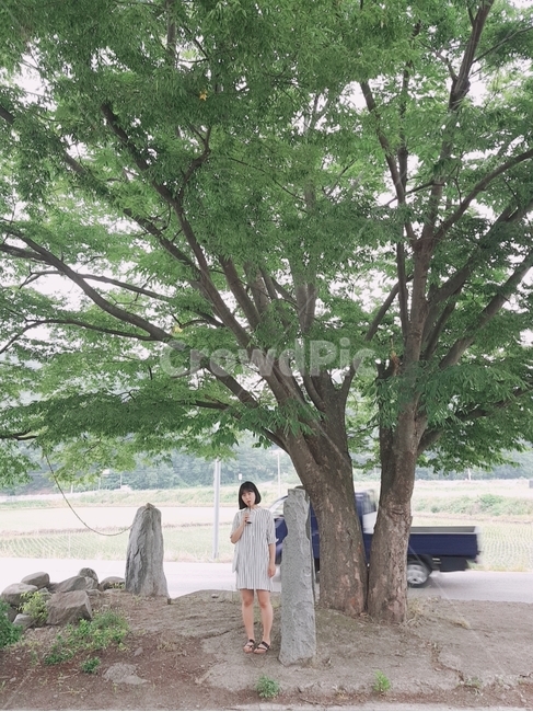 여자,나무,그늘,산책,힐링,여름,커피,시골,woman,tree,summer,coffee,단발머리