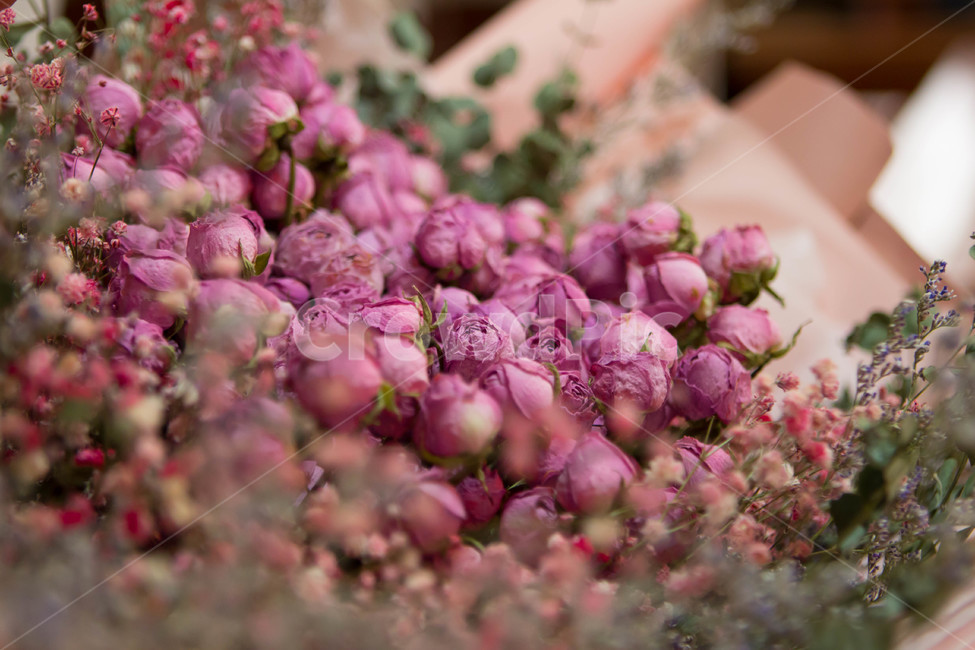 꽃다발,꽃,선물,감성사진,분홍꽃,꽃,flower,기념일,축하,anniversary,congratulation,celebrate,celebration