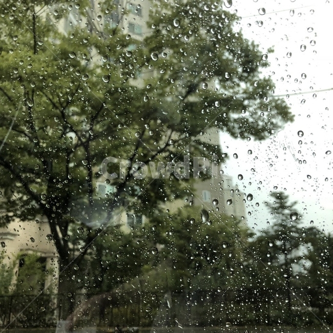 비,감성,감성사진,물방울,창문,분위기