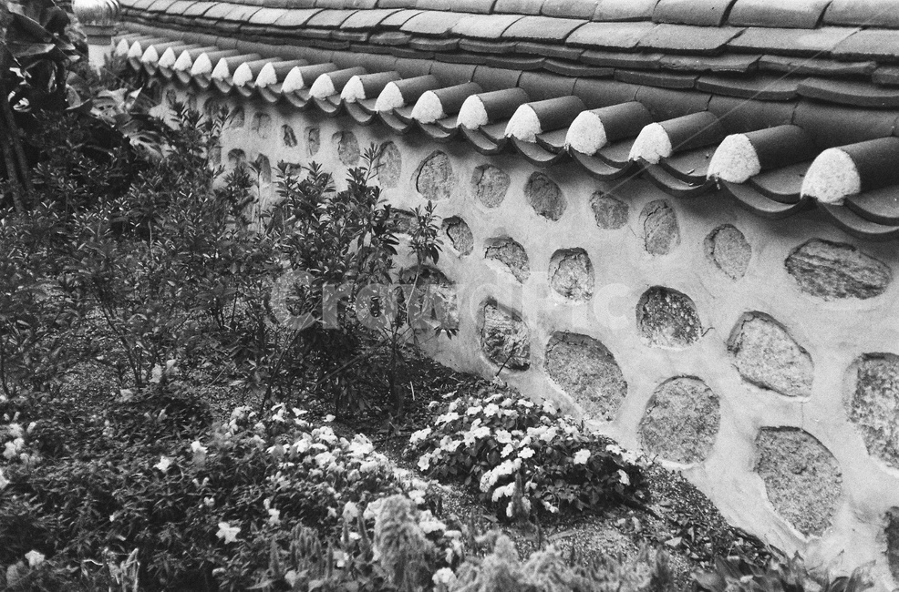 기와,한옥마을,한옥,꽃,벽돌,벽,한국전통,한국문화,korean traditional,korean culture