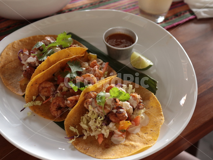 타코,taco,부리또,부리토,burrito,멕시칸,mexican,먹방,음식,식재료,요리,food,cook,meal,dishes,food reserves