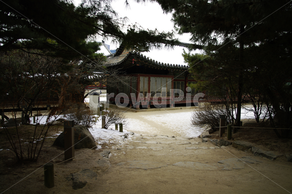 덕수궁,고궁,건축,전통건축,traditional,전통,기와지붕,겨울,winter,풍경,설경,눈,겨울,계절,winter,season,한국전통,한국문화,korean traditional,korean culture,랜드마크,landmark,tourist attraction,한국랜드마크,한국관광지,한국명소,korea landmark,korea tourist attraction