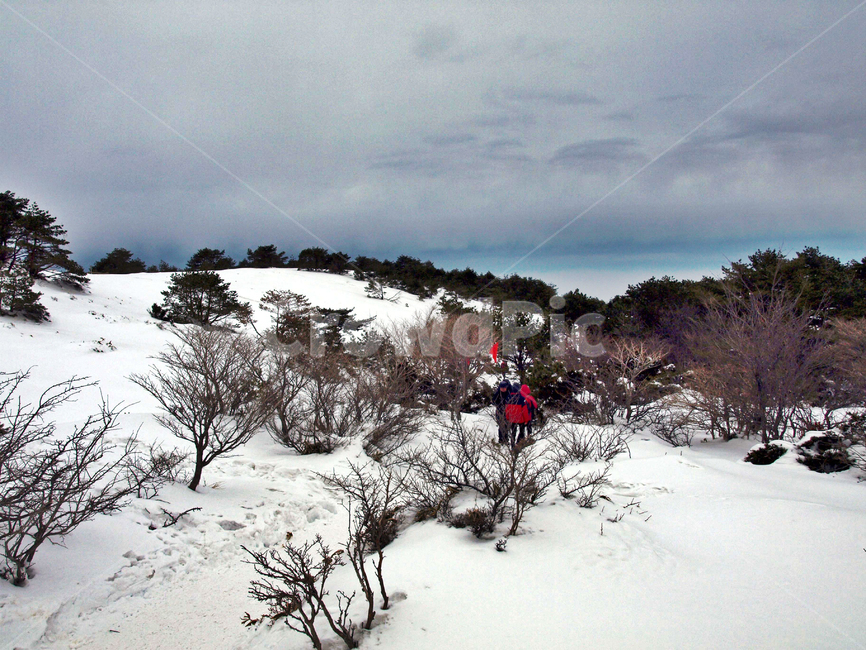 어리목,제주도,한라산,설경,겨울산,눈,등산,설화,등산객,탐방로,겨울,계절,winter,season,자연,풍경,nature,landscape