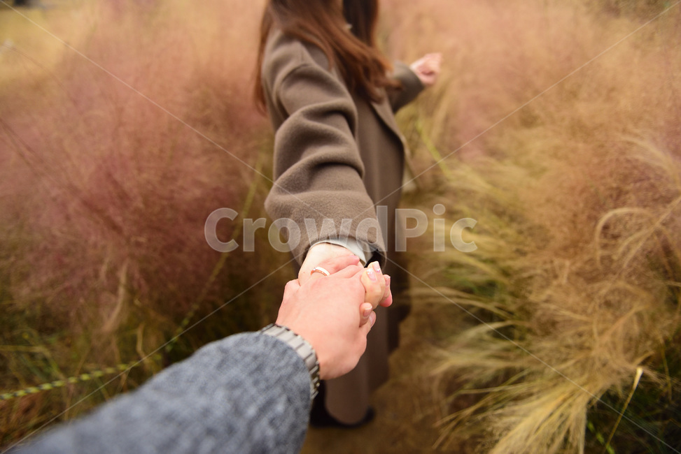 데이트,연인,holdinghands,사람,연인포즈,가을,계절,fall,autumn,season,사람,인물,인간,human,person,연인,커플,사랑,lover,couple