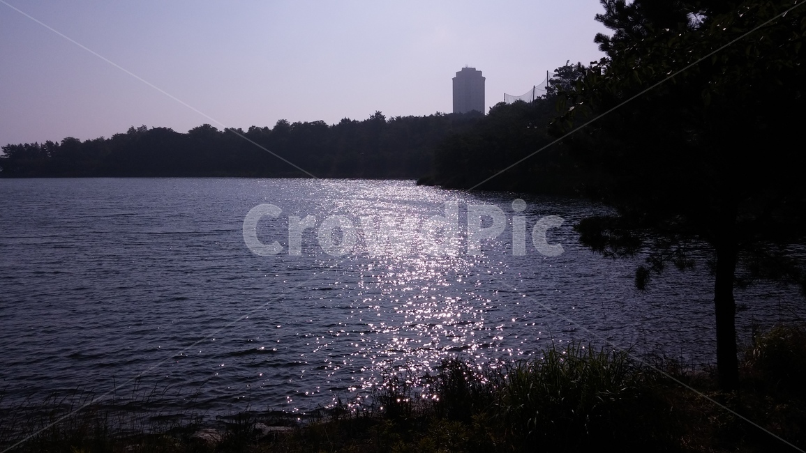 호수,햇빛,비침,잔잔,한가,자연,풍경,nature,landscape,water,물,outdoors,옥외