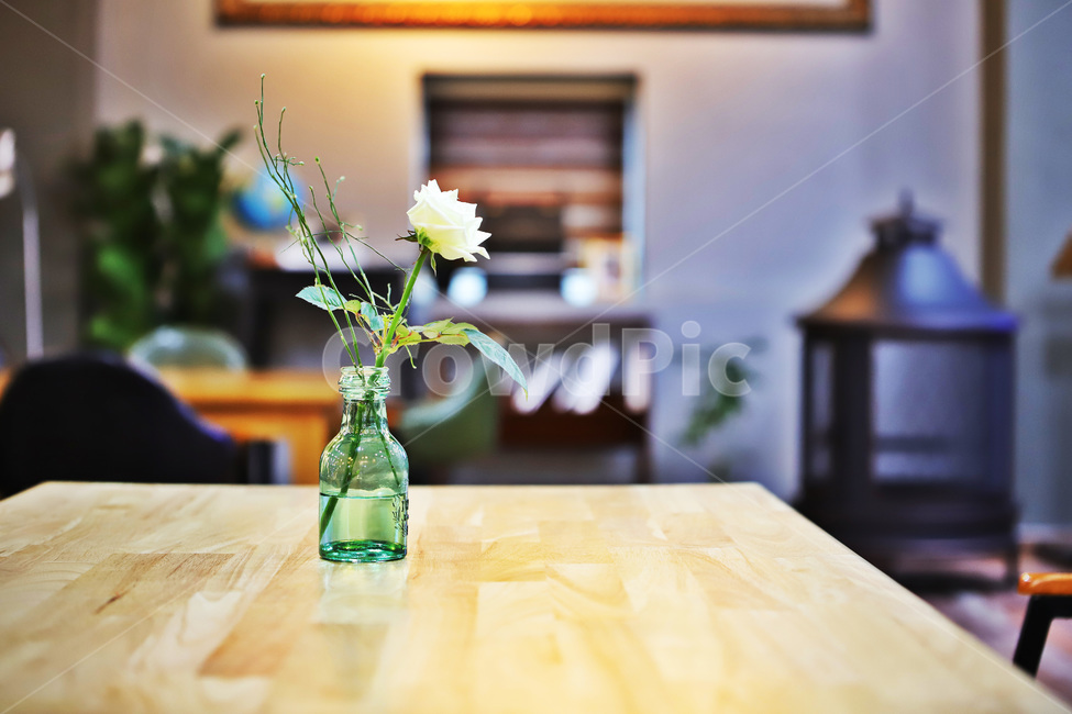 배경,꽃,탁자,식물,감성사진,식물,자연,plants,nature,꽃,flower,실내용화초,화분,화초,house plant,인테리어,실내디자인,interior design