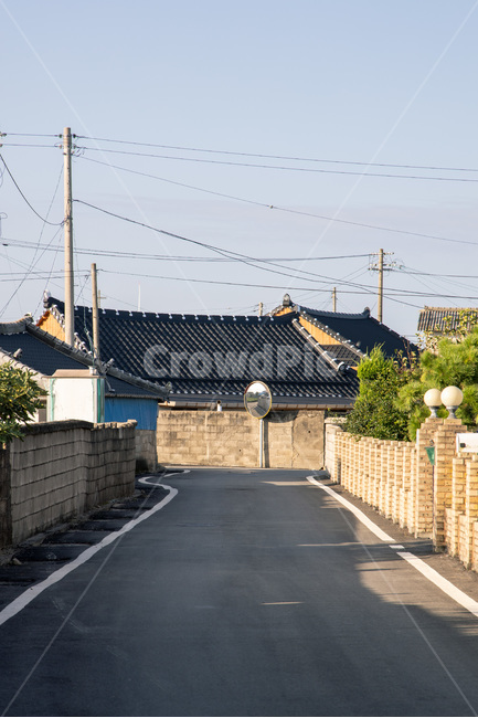 시골길,시골집,아침,영광,백수마을,산책